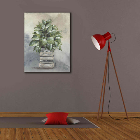 Image of 'Pathos in Pottery' by Julie Norkus, Giclee Canvas Wall Art,26x34