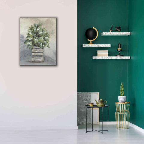 Image of 'Pathos in Pottery' by Julie Norkus, Giclee Canvas Wall Art,26x34