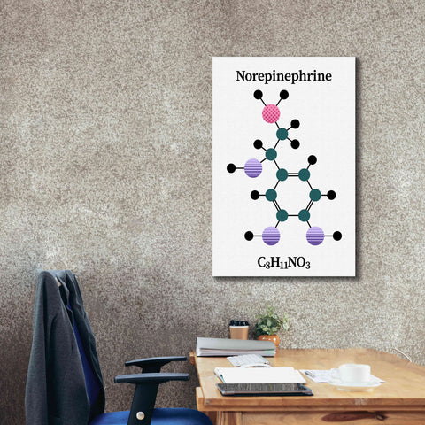Image of 'Norepinephrine Molecule' by Epic Portfolio, Giclee Canvas Wall Art,26x40