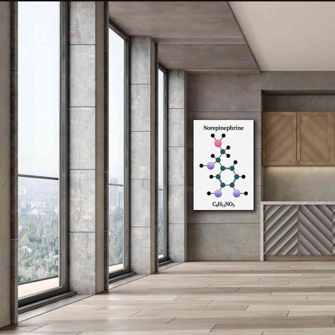 Image of 'Norepinephrine Molecule' by Epic Portfolio, Giclee Canvas Wall Art,40x60