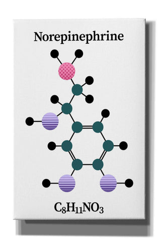Image of 'Norepinephrine Molecule' by Epic Portfolio, Giclee Canvas Wall Art