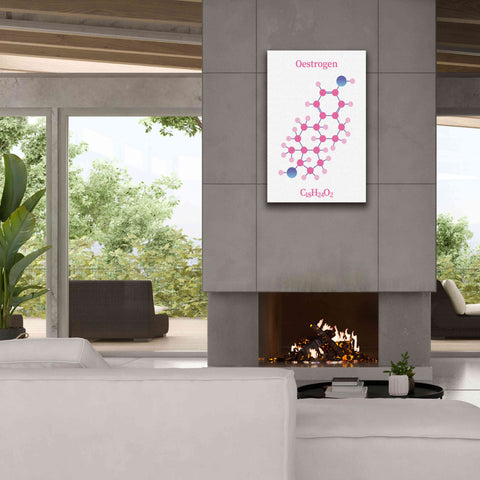 Image of 'Oestrogen Molecule' by Epic Portfolio, Giclee Canvas Wall Art,26x40