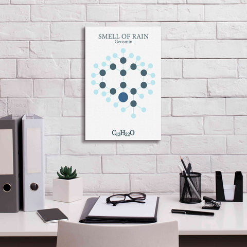 Image of 'Smell Of Rain Molecule' by Epic Portfolio, Giclee Canvas Wall Art,12x18