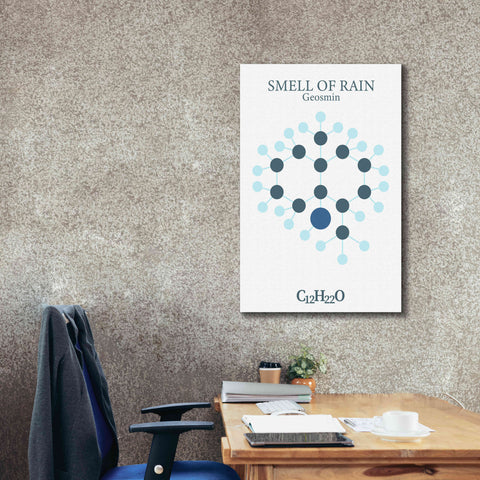 Image of 'Smell Of Rain Molecule' by Epic Portfolio, Giclee Canvas Wall Art,26x40