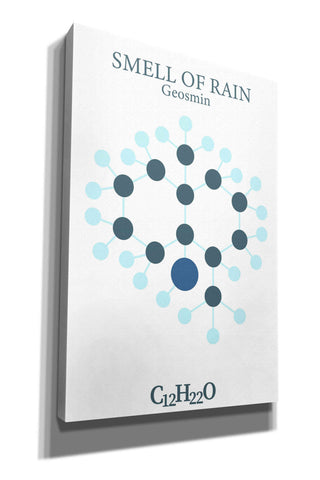 Image of 'Smell Of Rain Molecule' by Epic Portfolio, Giclee Canvas Wall Art