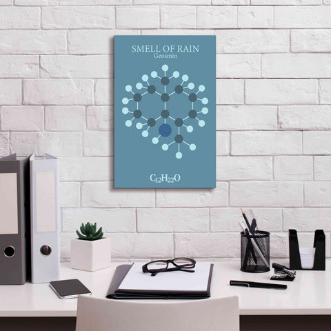 Image of 'Smell Of Rain Molecule 2' by Epic Portfolio, Giclee Canvas Wall Art,12x18