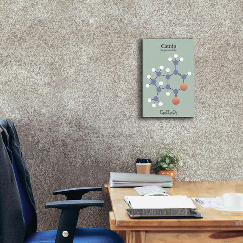 Image of 'Catnip Molecule 2' by Epic Portfolio, Giclee Canvas Wall Art,12x18