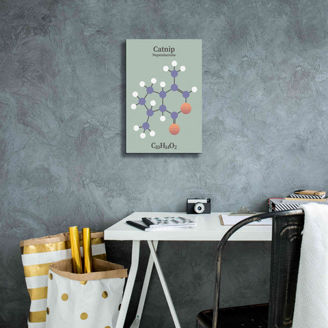 Image of 'Catnip Molecule 2' by Epic Portfolio, Giclee Canvas Wall Art,12x18