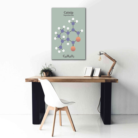 Image of 'Catnip Molecule 2' by Epic Portfolio, Giclee Canvas Wall Art,26x40