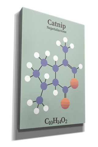 Image of 'Catnip Molecule 2' by Epic Portfolio, Giclee Canvas Wall Art