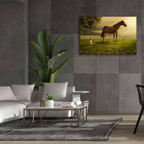 Image of 'Field of Visions' by Alan, Giclee Canvas Wall Art,60x40