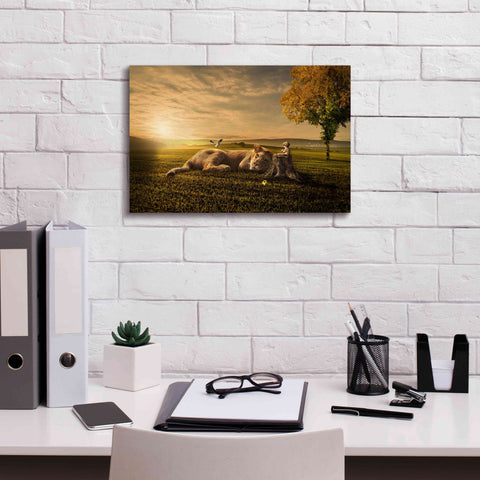 Image of 'Sunset Sleeping' by Alan, Giclee Canvas Wall Art,18x12