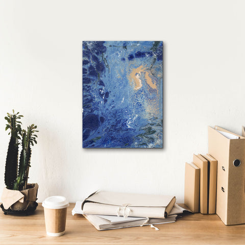 Image of 'Blue Hawaii II' by Regina Moore, Canvas Wall Art,12 x 16