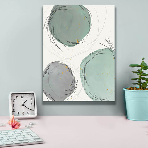 Image of 'Encircled Orbits II' by Regina Moore, Canvas Wall Art,12 x 16