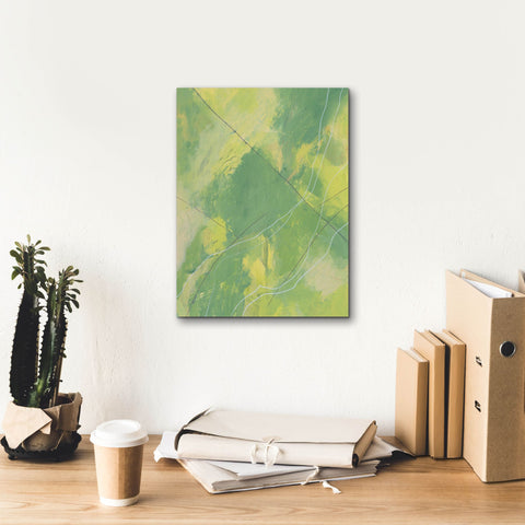 Image of 'Heartland I' by Regina Moore, Canvas Wall Art,12 x 16