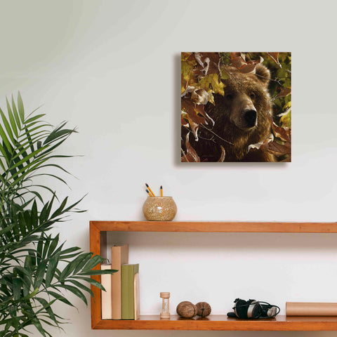 Image of 'Legend Of The Fall' by Collin Bogle, Canvas Wall Art,12x12