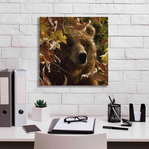 Image of 'Legend Of The Fall' by Collin Bogle, Canvas Wall Art,18x18