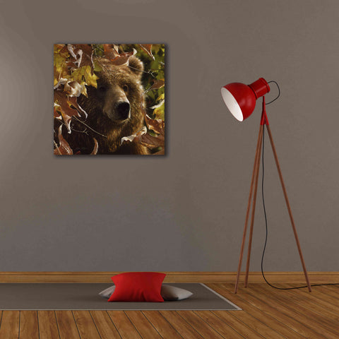 Image of 'Legend Of The Fall' by Collin Bogle, Canvas Wall Art,26x26