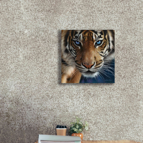 Image of 'Blue Eyes' by Collin Bogle, Canvas Wall Art,18x18