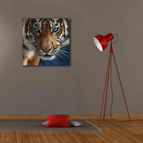 Image of 'Blue Eyes' by Collin Bogle, Canvas Wall Art,26x26