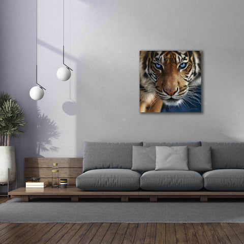 Image of 'Blue Eyes' by Collin Bogle, Canvas Wall Art,37x37