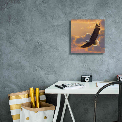Image of 'Soaring Spirit' by Collin Bogle, Canvas Wall Art,12x12