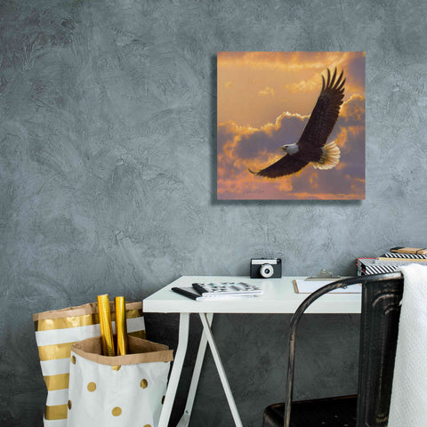 Image of 'Soaring Spirit' by Collin Bogle, Canvas Wall Art,18x18