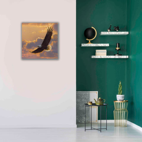 Image of 'Soaring Spirit' by Collin Bogle, Canvas Wall Art,26x26