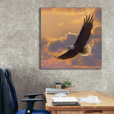 Image of 'Soaring Spirit' by Collin Bogle, Canvas Wall Art,37x37