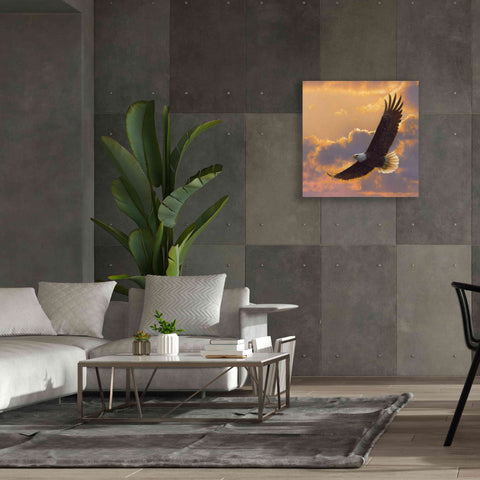 Image of 'Soaring Spirit' by Collin Bogle, Canvas Wall Art,37x37