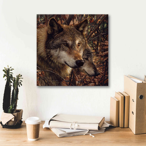 Image of 'Colors of Autumn' by Collin Bogle, Canvas Wall Art,18x18