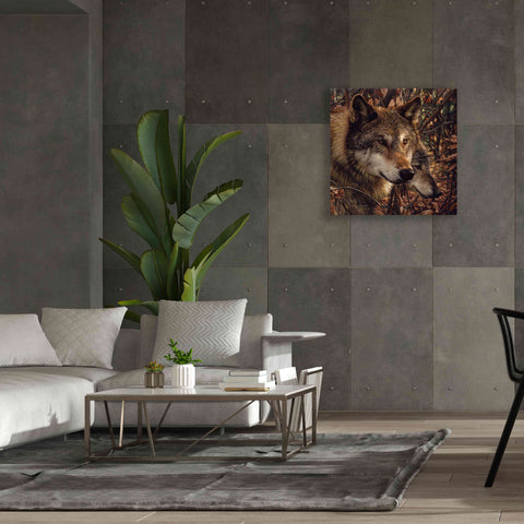 Image of 'Colors of Autumn' by Collin Bogle, Canvas Wall Art,37x37