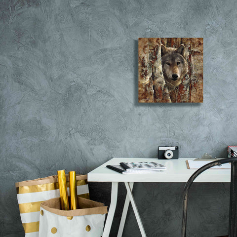 Image of 'Wolf Spirit' by Collin Bogle, Canvas Wall Art,12x12