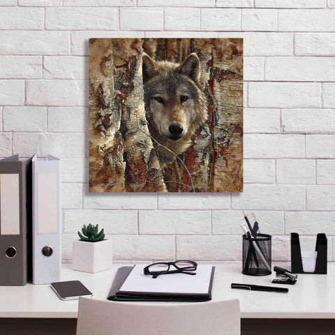 Image of 'Wolf Spirit' by Collin Bogle, Canvas Wall Art,18x18