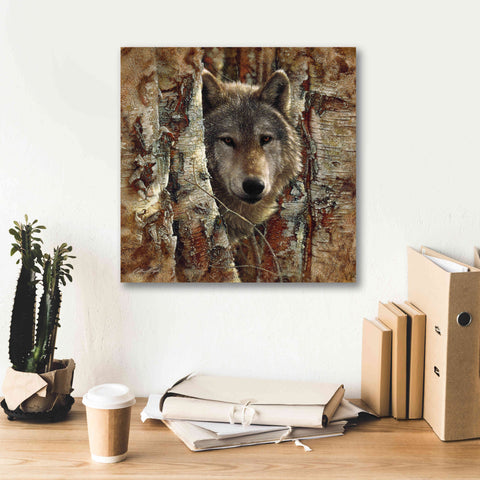 Image of 'Wolf Spirit' by Collin Bogle, Canvas Wall Art,18x18