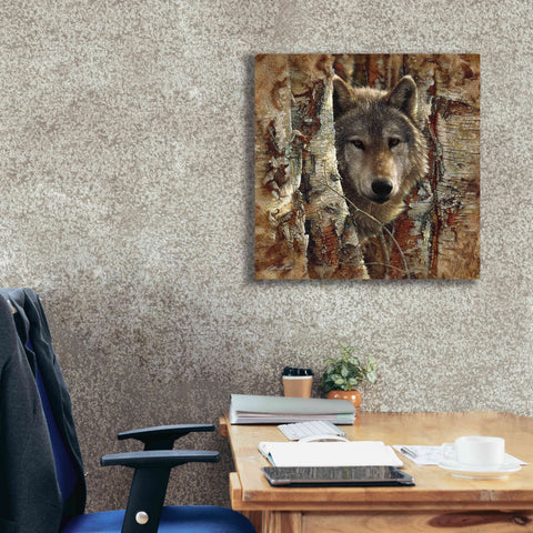Image of 'Wolf Spirit' by Collin Bogle, Canvas Wall Art,26x26