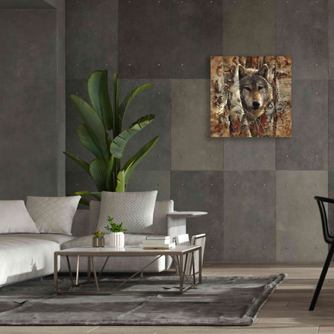 Image of 'Wolf Spirit' by Collin Bogle, Canvas Wall Art,37x37