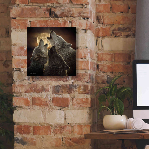 Image of 'Wolf Trinity' by Collin Bogle, Canvas Wall Art,12x12