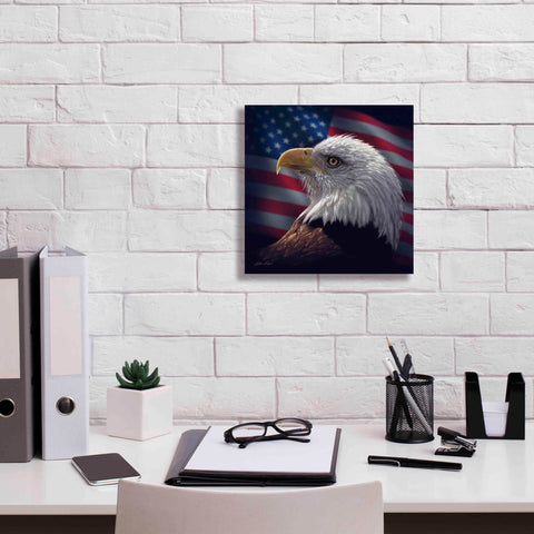 Image of 'American Bald Eagle' by Collin Bogle, Canvas Wall Art,12x12