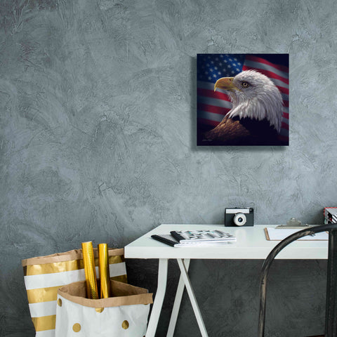 Image of 'American Bald Eagle' by Collin Bogle, Canvas Wall Art,12x12