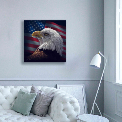 Image of 'American Bald Eagle' by Collin Bogle, Canvas Wall Art,37x37