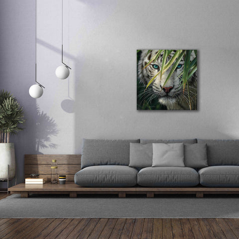 Image of 'Watching and Waiting' by Collin Bogle, Canvas Wall Art,37x37