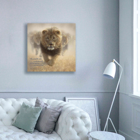 Image of 'Wicked Flee' by Collin Bogle, Canvas Wall Art,37x37