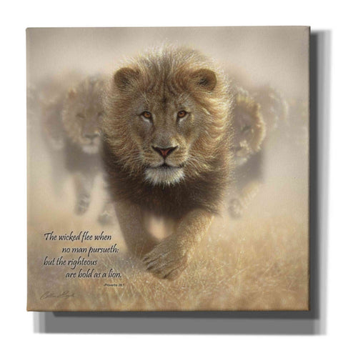 Image of 'Wicked Flee' by Collin Bogle, Canvas Wall Art,Size 1 Square