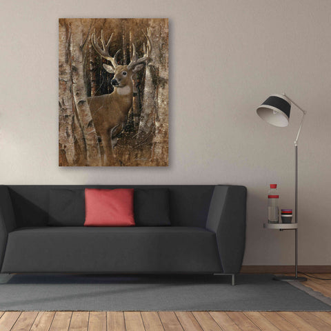Image of 'Birchwood Buck' by Collin Bogle, Canvas Wall Art,40x54