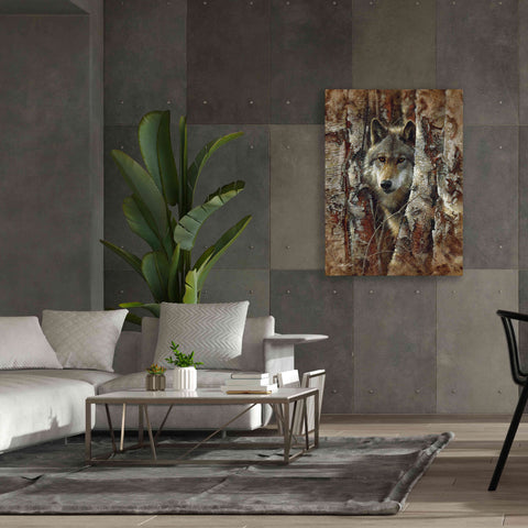Image of 'Wood Land Spirit' by Collin Bogle, Canvas Wall Art,40x54