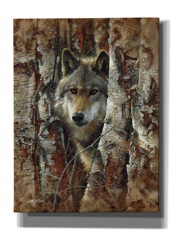 Image of 'Wood Land Spirit' by Collin Bogle, Canvas Wall Art,Size C Portrait