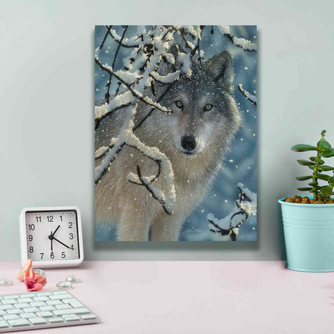 Image of 'Broken Silence' by Collin Bogle, Canvas Wall Art,12x16