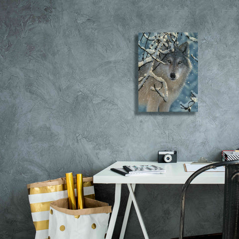 Image of 'Broken Silence' by Collin Bogle, Canvas Wall Art,12x16