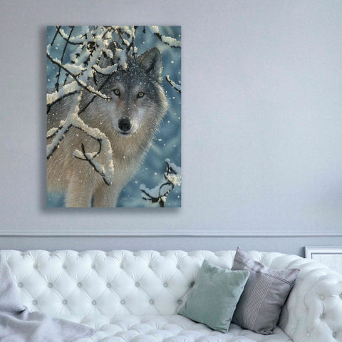 Image of 'Broken Silence' by Collin Bogle, Canvas Wall Art,40x54